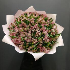 Букет из 51 розовой альстромерии