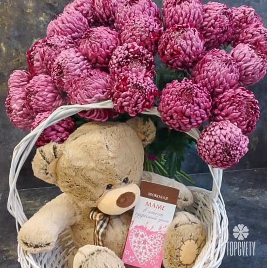 Букет из 15 бордовых хризантем Гилберт Пёрпл 