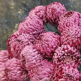 Букет из 15 бордовых хризантем Гилберт Пёрпл 