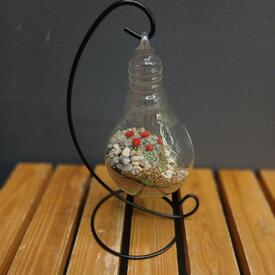 Флорариум Лампа 