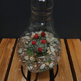 Флорариум Лампа 