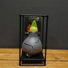 Набор из 3 амариллисов 
