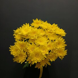 Букет из 7 жёлтых кустовых хризантем 