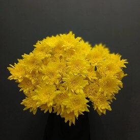 Букет из 9 жёлтых кустовых хризантем 