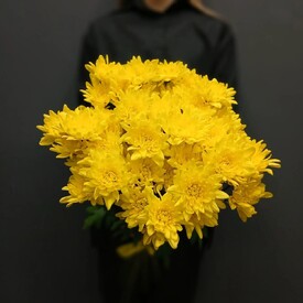 Букет из 9 жёлтых кустовых хризантем 