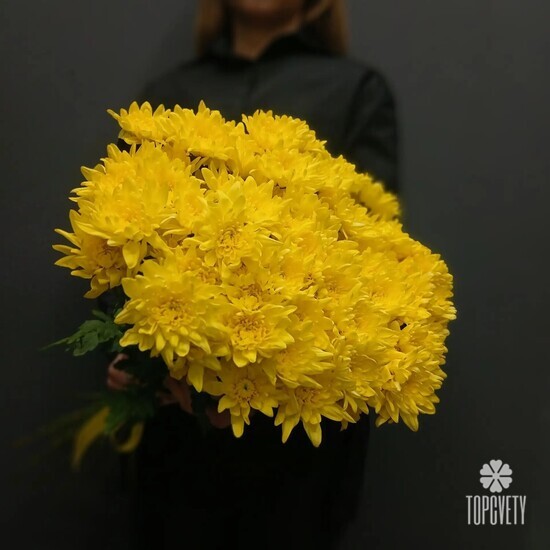 Букет из 17 жёлтых кустовых хризантем