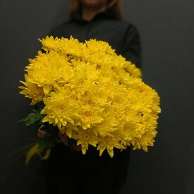 Букет из 17 жёлтых кустовых хризантем