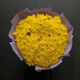 Букет из 25 жёлтых кустовых хризантем 