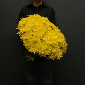 Букет из 25 жёлтых кустовых хризантем