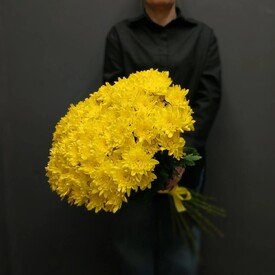 Букет из 25 жёлтых кустовых хризантем