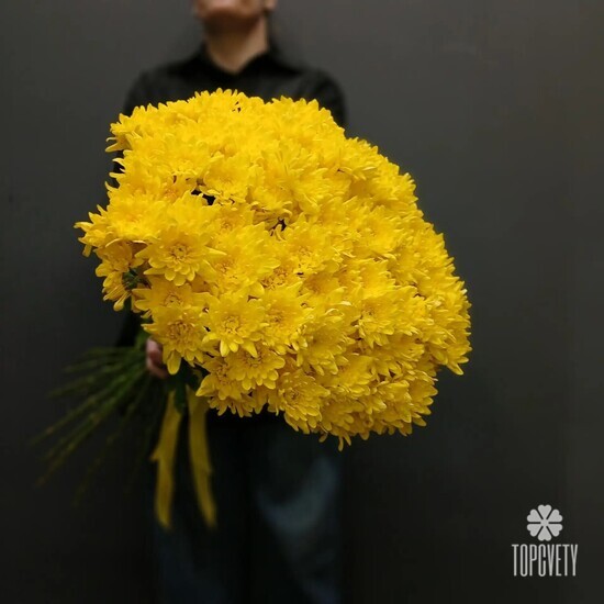 Букет из 35 жёлтых кустовых хризантем