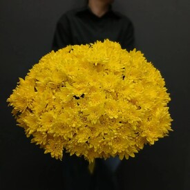 Букет из 35 жёлтых кустовых хризантем