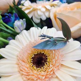 Букет из орхидей, дельфиниума, гербер и роз