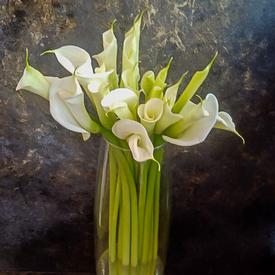 Букет из 15 белых калл