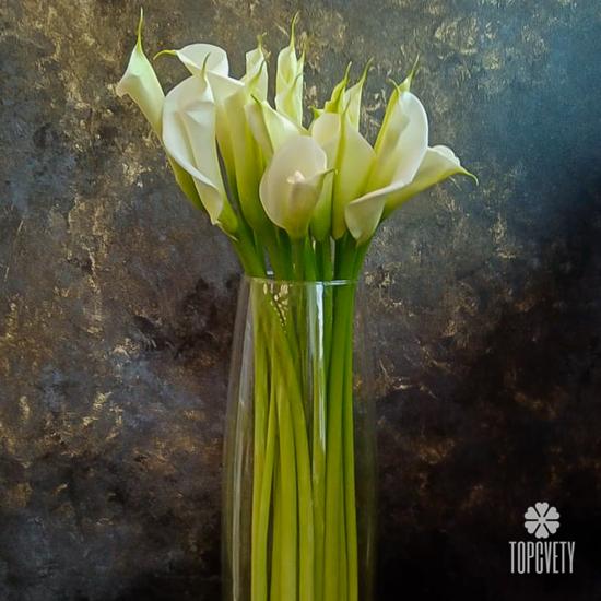 Букет из 15 белых калл