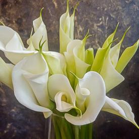 Букет из 15 белых калл