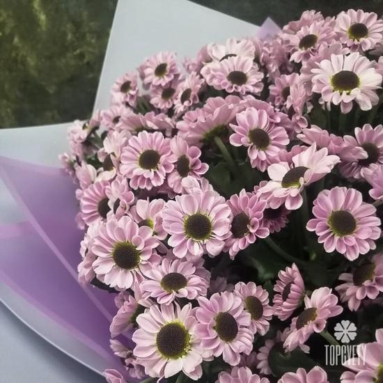 Букет из 21 сиреневой кустовой хризантемы Сантини 