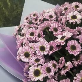 Букет из 21 сиреневой кустовой хризантемы Сантини 