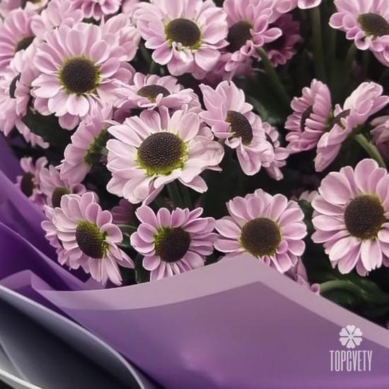 Букет из 21 сиреневой кустовой хризантемы Сантини 