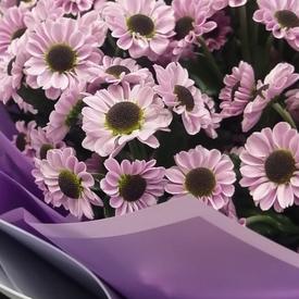 Букет из 21 сиреневой кустовой хризантемы Сантини 