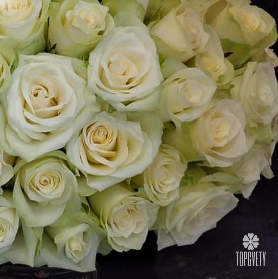 Букет из 101 белой розы в коробке