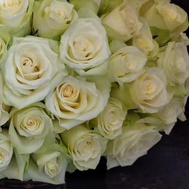 Букет из 101 белой розы в коробке