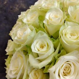 Букет из 101 белой розы в коробке