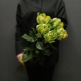 Букет из 5 роз Вегги 70см