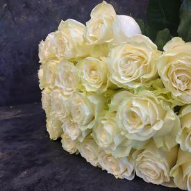 Букет из 25 белых роз Мондиаль 80см