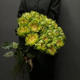 Букет из 25 роз Вегги 70см