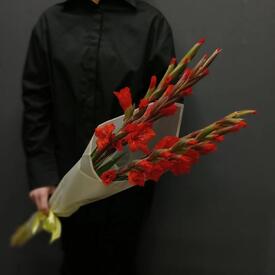 Букет из 5 красных гладиолусов