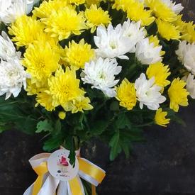 Букет из 15 кустовых хризантем микс