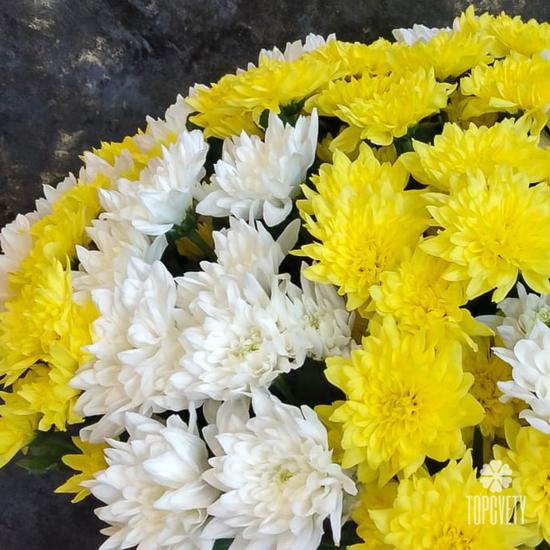 Букет из 15 кустовых хризантем микс