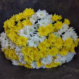 Букет из 15 кустовых хризантем микс