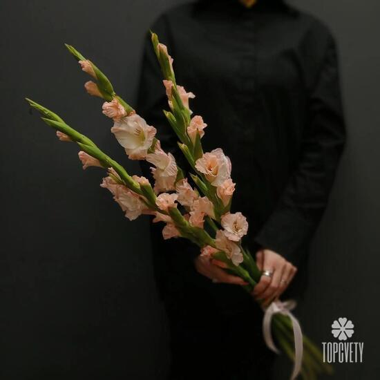 Букет из 5 розовых гладиолусов