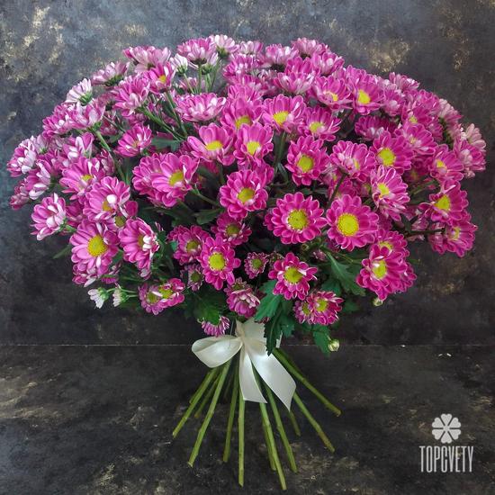 Букет из 21 розовой кустовой хризантемы Сантини №205