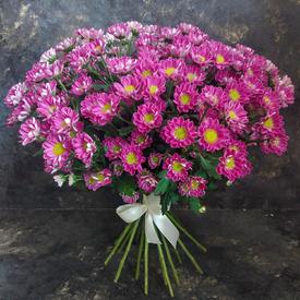 Букет из 21 розовой кустовой хризантемы Сантини №205