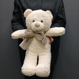 Мишка Коди 35 