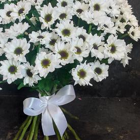 Букет из 21 белой кустовой хризантемы Сантини №203