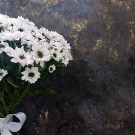 Букет из 21 белой кустовой хризантемы Сантини №203