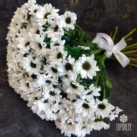 Букет из 21 белой кустовой хризантемы Сантини №203
