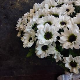 Букет из 21 белой кустовой хризантемы Сантини №203