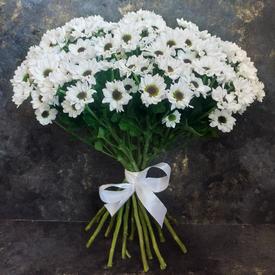 Букет из 21 белой кустовой хризантемы Сантини №203