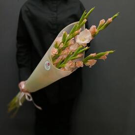 Букет из 5 розовых гладиолусов