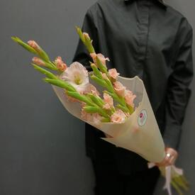Букет из 5 розовых гладиолусов