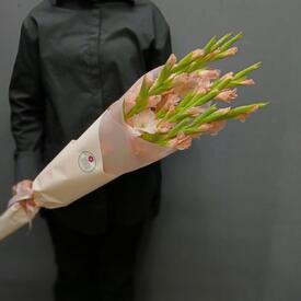 Букет из 7 розовых гладиолусов