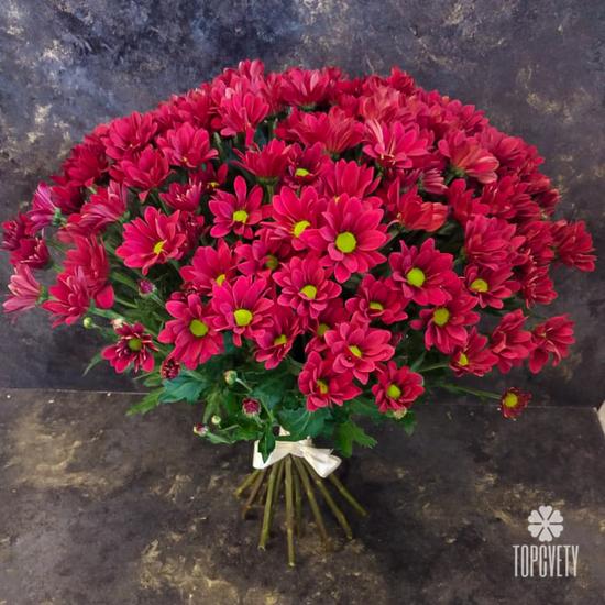 Букет из 15 красных кустовых хризантем