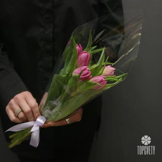 Букет из 5 малиновых тюльпанов 