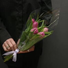 Букет из 5 малиновых тюльпанов 