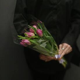 Букет из 7 малиновых  тюльпанов 